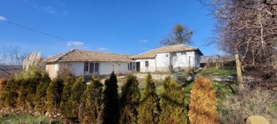 View of the white rural house with tiled roof and evergreen shrubs in front under a clear blue sky.