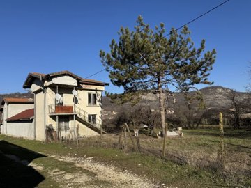 Rural house beside a fenced yard featuring a prominent pine tree, illuminated by bright sunlight.