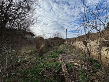Garden area overgrown with grass and bushes, enclosed by old mud brick walls and scattered branches.