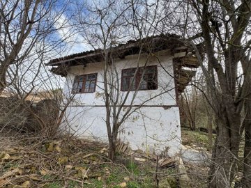 Rear exterior of the old house showing white plaster walls, multiple windows, and surrounding trees.