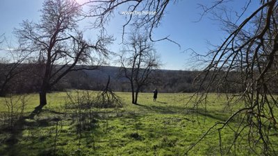 Open grassy land with scattered leafless trees and distant hills visible under a clear blue sky.
