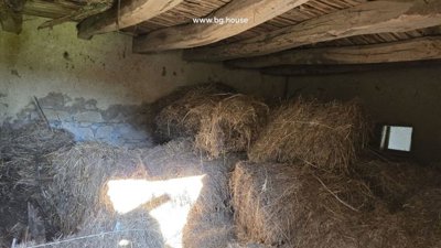 Interior of a hay storage area showing wooden beams supporting the ceiling and stacked hay bales.