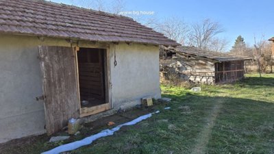 Close-up of small plastered outbuilding with wooden door and adjacent wooden shed in grassy yard