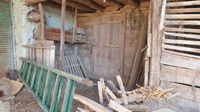 Barn interior showing a wooden door, a green wooden gate leaning against the wall, and stored wood pieces.