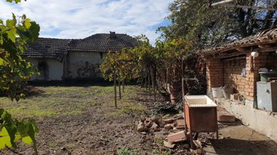 Garden space with grapevine and a brick outbuilding under a tiled roof visible in the background.