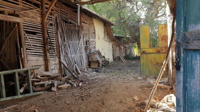 Inside view of a barn showing wooden slats, stacked wood, and a green ladder leaning against the wall.