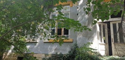 Close-up of old school wall featuring windows and a door surrounded by greenery