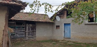 Corner of a rural house with blue door and adjacent wooden outbuilding under tiled roofs with grapevine overhead