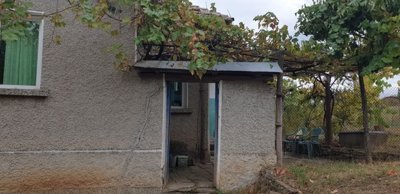 Outdoor passageway between house walls covered by grapevine with plastic chairs visible in the yard beyond