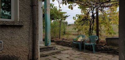 Covered porch area supported by green painted pillar with grapevine overhead and plastic chairs arranged outside