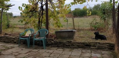 Patio area featuring plastic chairs, stone wall, fenced garden, and a black dog lying on the grass