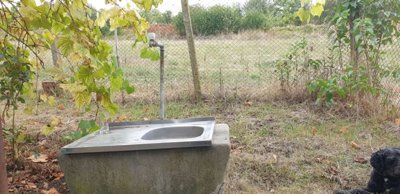 Concrete outdoor sink with metal basin located in a fenced garden area with grass and plants