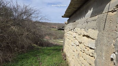 Stone wall beside green grass and bushes with a cat standing on top of the wall