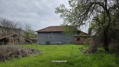 Garden space with grass and branches, village houses visible beyond the garden