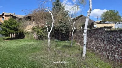 Garden area featuring birch trees and a stone wall enclosing the property under a partly cloudy sky.