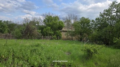 View of an old rural house partly obscured by trees and dense greenery in a natural setting