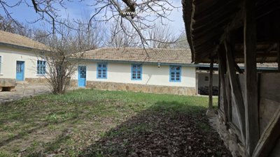 Grass garden area adjacent to traditional house walls painted white with blue windows and doors.