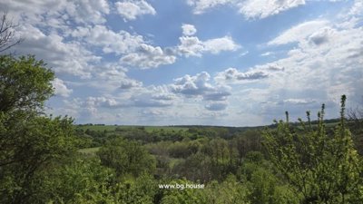Scenic view of the countryside featuring green hills and dense tree coverage