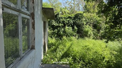 Exterior of a brick house with a tiled roof and an overgrown garden area with tall grass under bright sunlight.