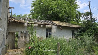 Outbuilding adjacent to main house with damaged roof and garden plants around