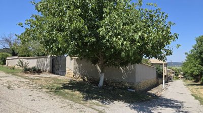 Corner view of a stone wall with a metal gate and a large leafy tree in front.