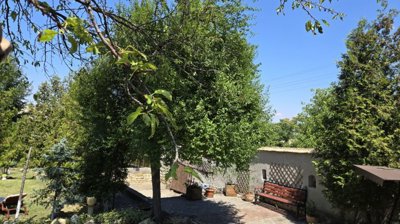 Garden patio area featuring a wooden bench, potted plants, and greenery under shade.