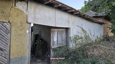 Side view of the house showing an open wooden door, plastered walls, and surrounding overgrown vegetation.