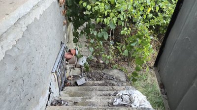 Concrete steps descending to a garden area filled with plants and foliage beside the house.