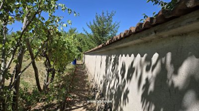 Narrow garden pathway running beside a tall plastered wall, shaded by leafy trees casting dappled shadows.