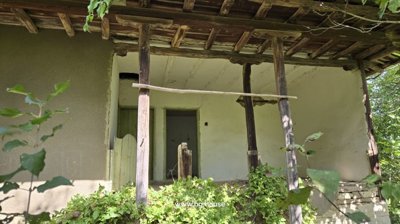 Wooden balcony with green doors partially covered by climbing plants and supported by wooden posts.