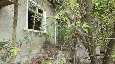 View of the house exterior showing a broken window and dense surrounding trees and shrubs