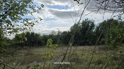 Wide view of a grassy field bordered by trees under a partly cloudy sky
