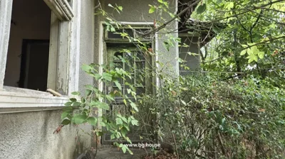 Close-up of an old wooden door and window with dense plants growing around