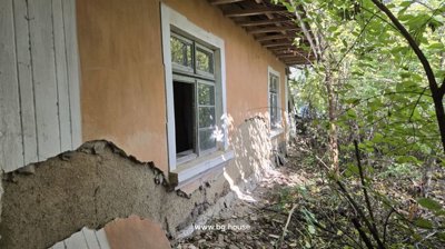 View of the house exterior showing damaged plaster and green-framed windows with surrounding trees and bushes.