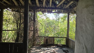 A covered wooden balcony or veranda with wooden posts and beams, enveloped by dense green foliage and climbing vines.