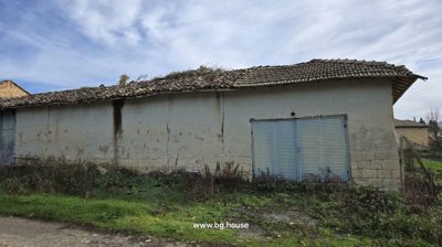 View of a building's exterior wall with a tiled roof and a large blue metal door, bordered by grass and weeds