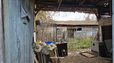 Covered outdoor storage area featuring blue wooden doors and assorted old items, with overgrown plants outside