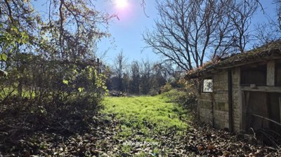 A sunlit garden path bordered by leafless trees and bushes, with green grass and an old brick outbuilding on the right.