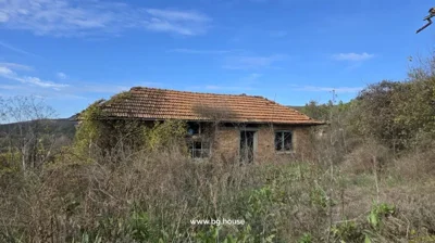 Exterior of a small brick outbuilding with a tiled roof surrounded by dense vegetation