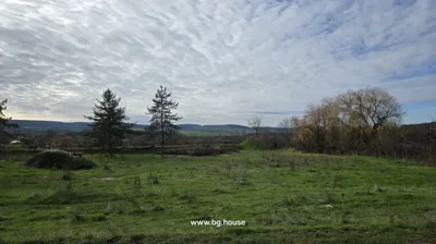 Open grassy field with some bushes and trees in the distance under a cloudy sky