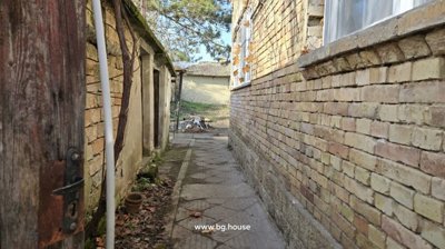 Paved narrow walkway running between a brick house and adjacent outbuildings, with a dog in the foreground.