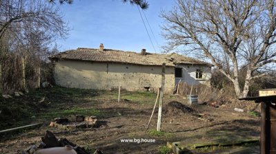 Garden with old house and bare trees