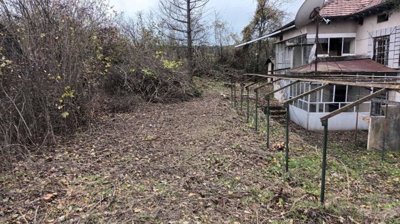 An outdoor space next to the house showing cleared ground with some bushes and trees around.