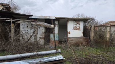 Small outbuilding with white walls and metal mesh door surrounded by overgrown grass and bushes.