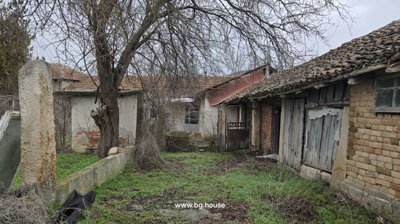 Garden area featuring trees and outbuildings with plastered and brick walls in a natural setting.