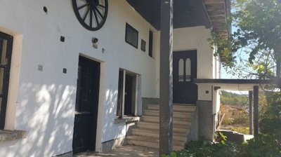 Side view of a white house showing black doors and windows, a staircase, and leafy plants around the building.