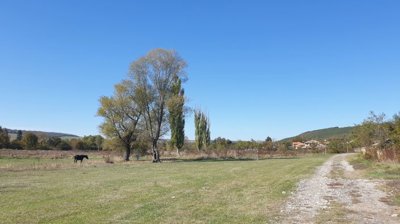 Wide grassy field with scattered trees, a horse grazing, and a dirt path leading to houses in the distance