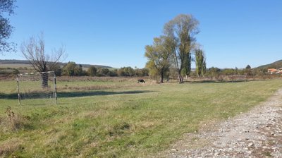 Open grassy area with two football goalposts, trees, and a horse grazing nearby