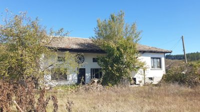 Front view of the white house with a tiled roof, partially covered by a tree and dry grass