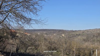 Distant houses visible on a hillside through leafless tree branches under blue sky